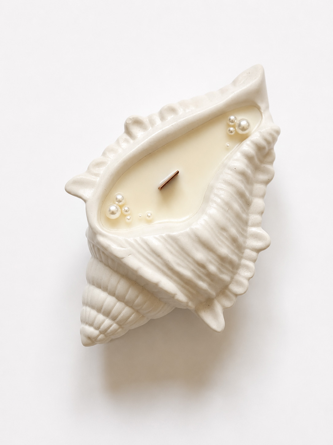 Sunset Shell