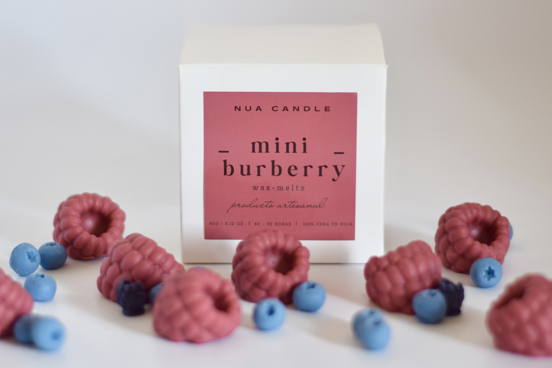 DSC_0020 Mini Burberry