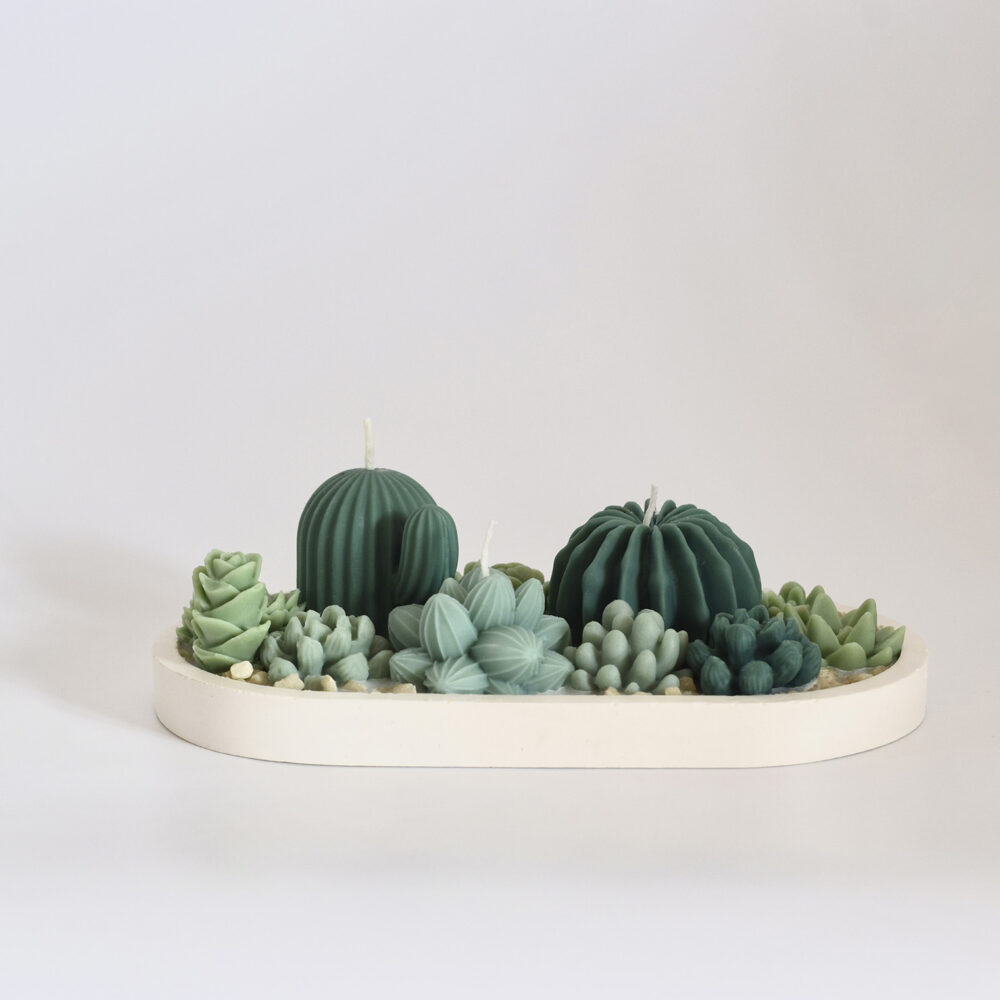 Bandeja de Cactus