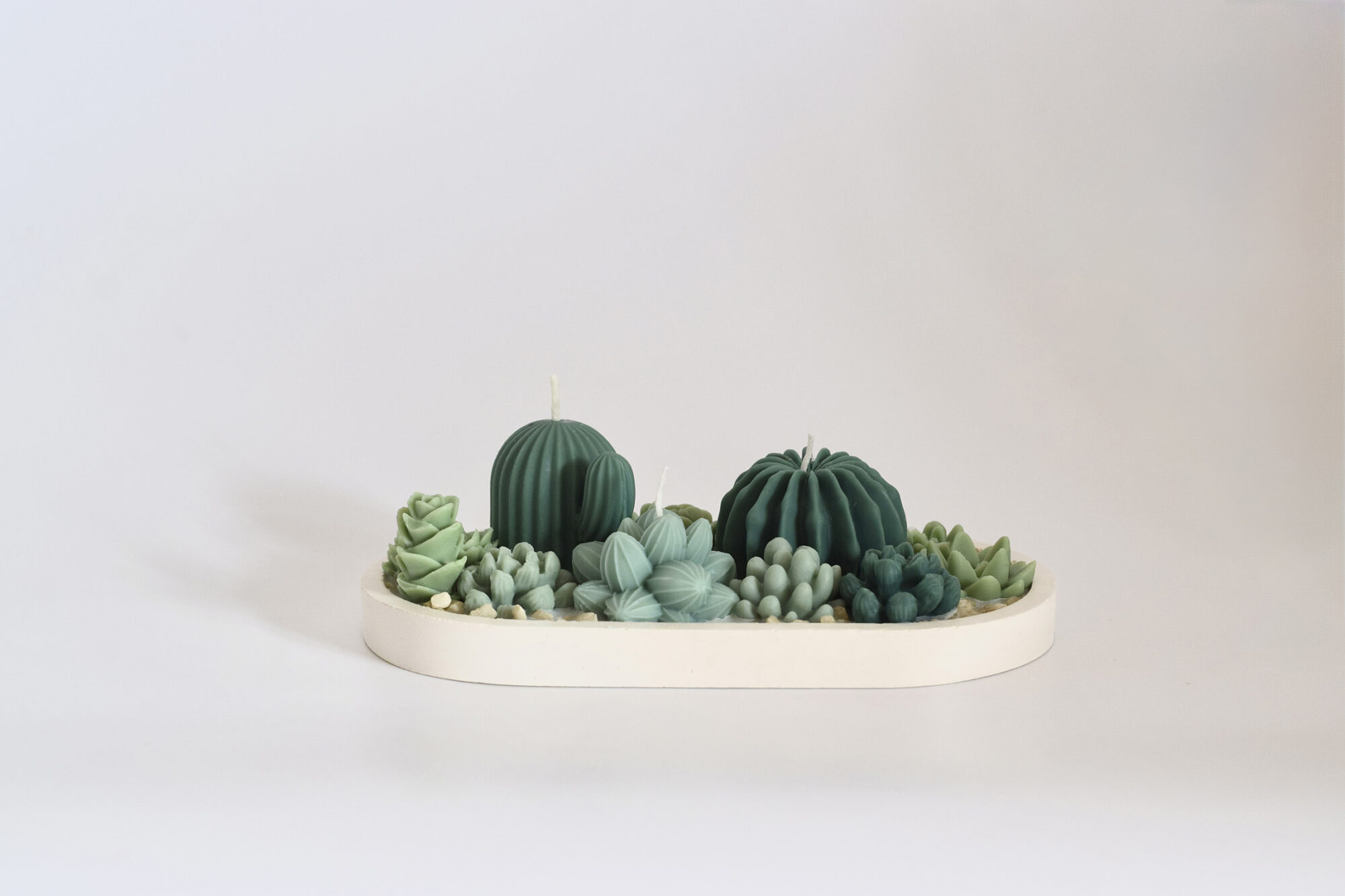 Bandeja de Cactus