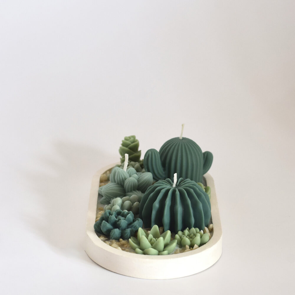 Bandeja de Cactus