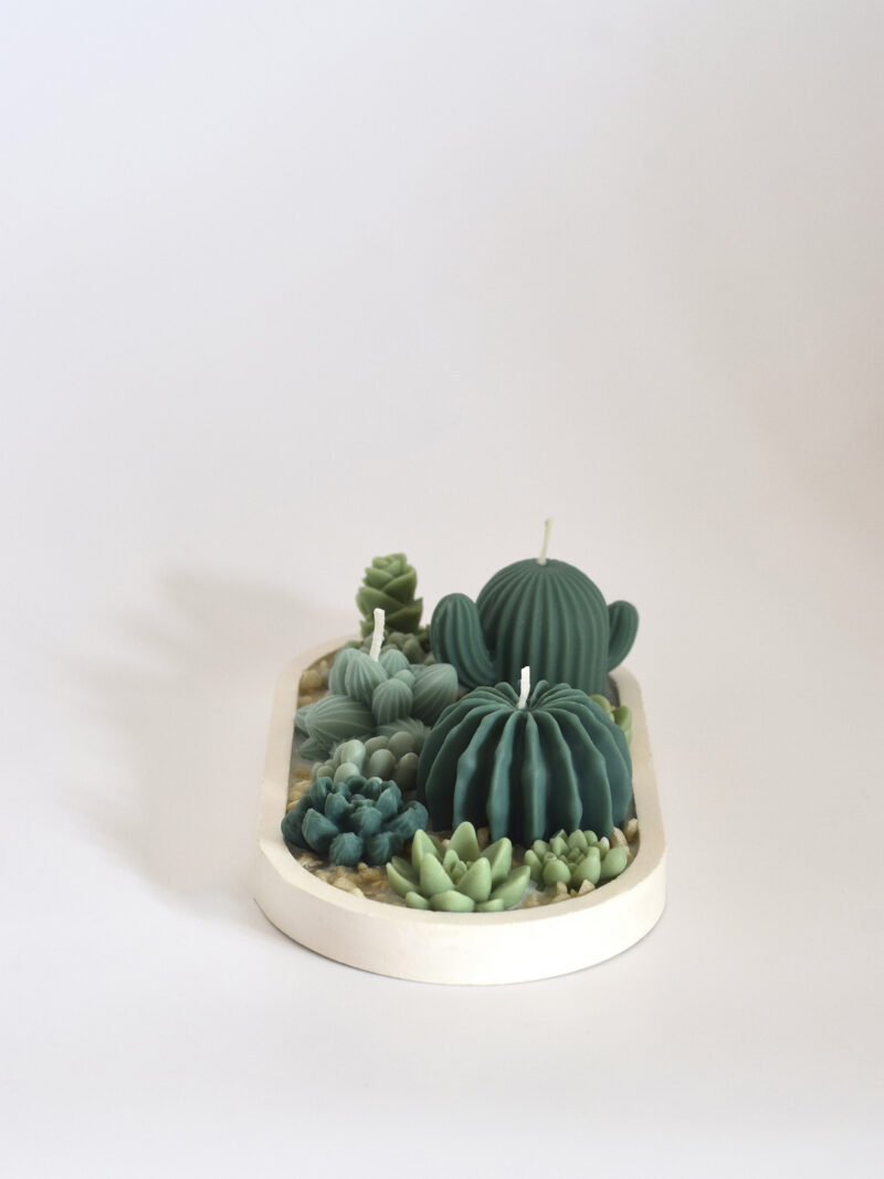 Bandeja de Cactus