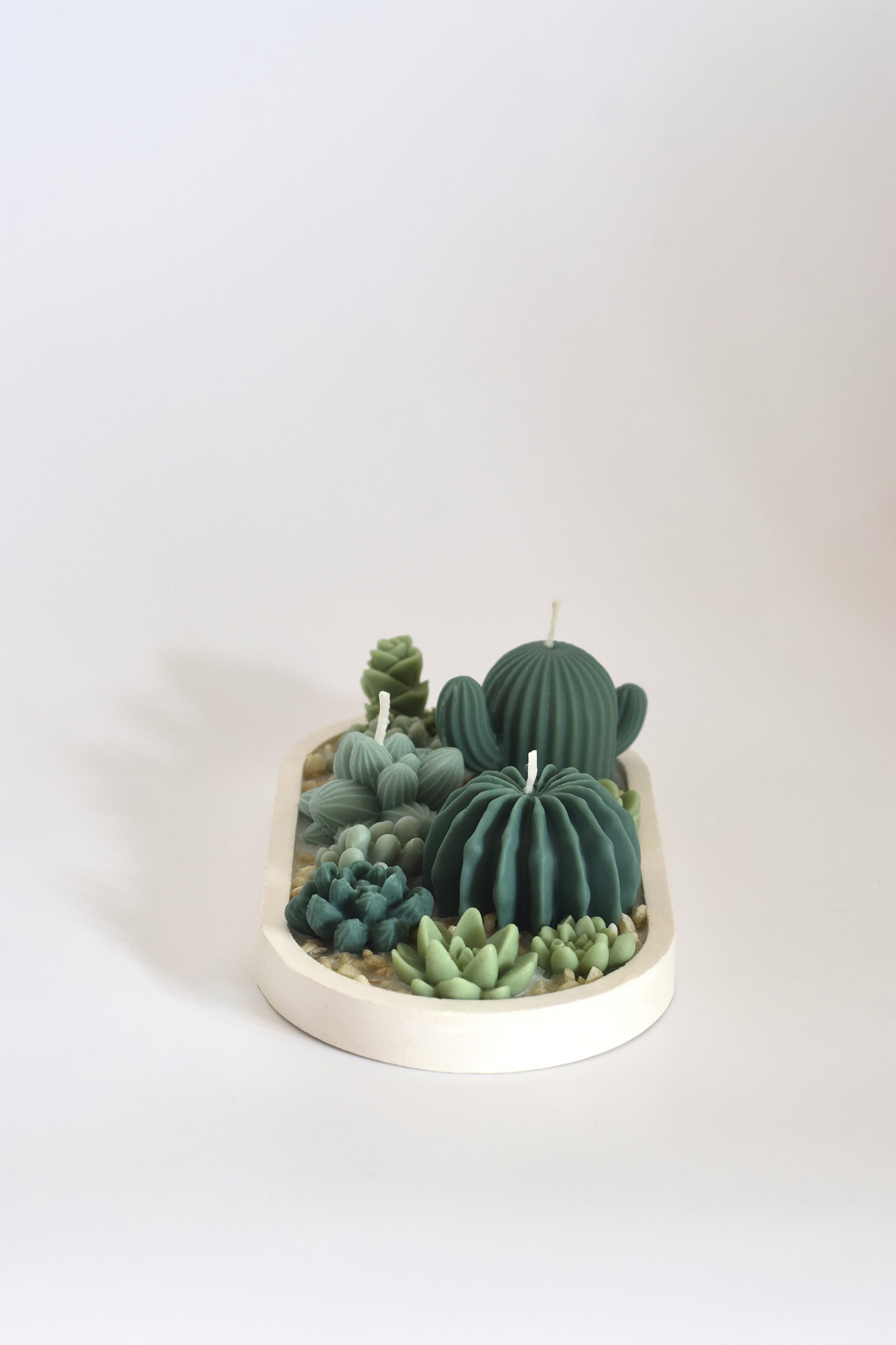 Bandeja de Cactus