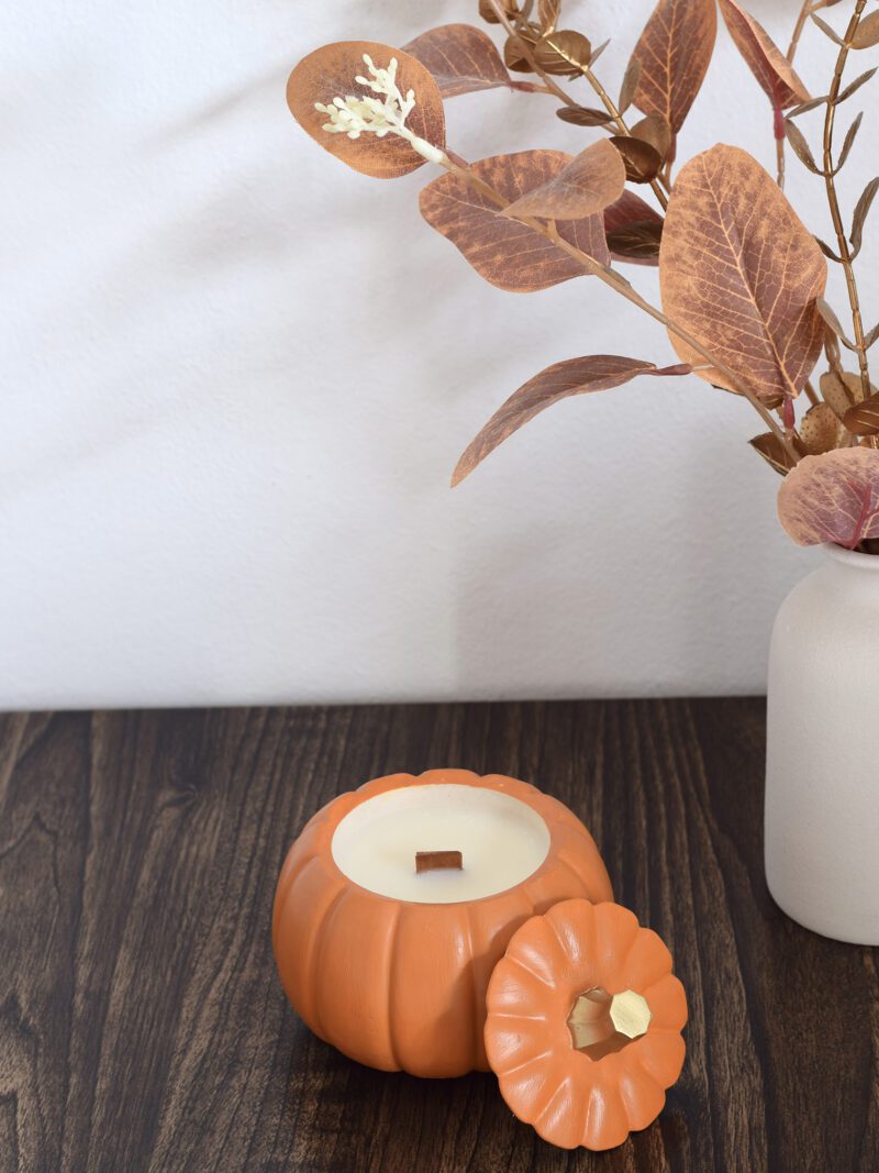 Calabaza Naranja - Pumpkin Spice