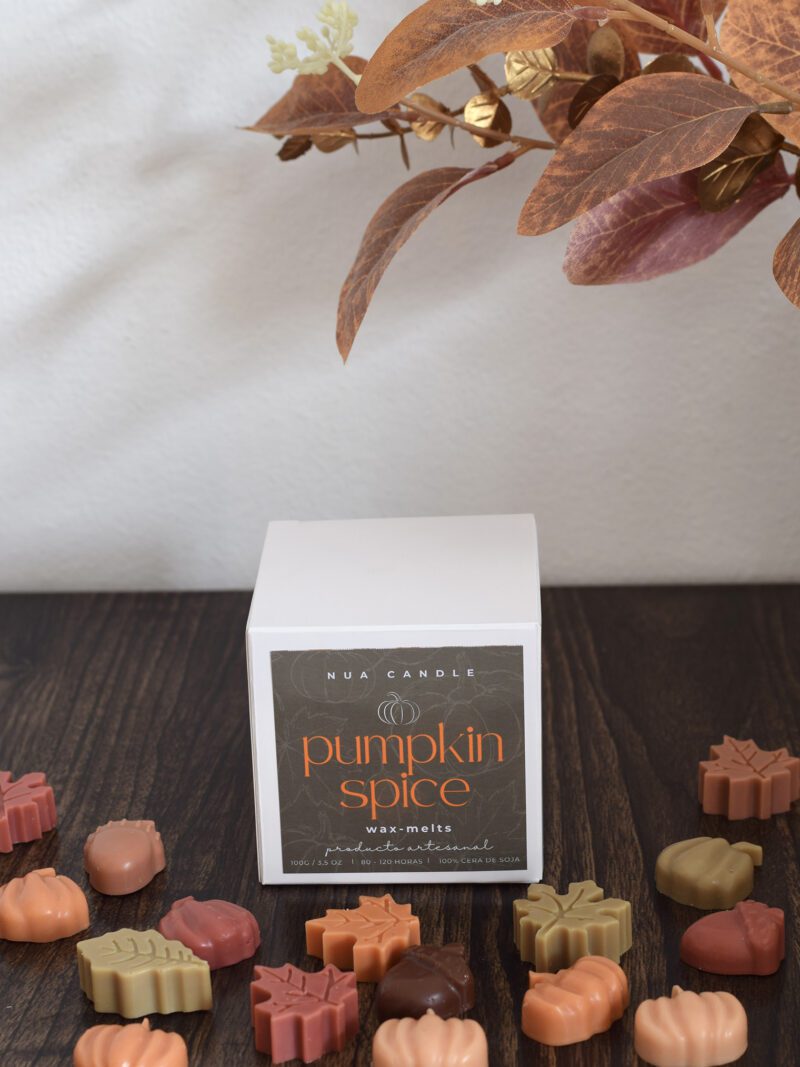 Wax Melts Pumpkin Spice - Edición Otoño - 100G