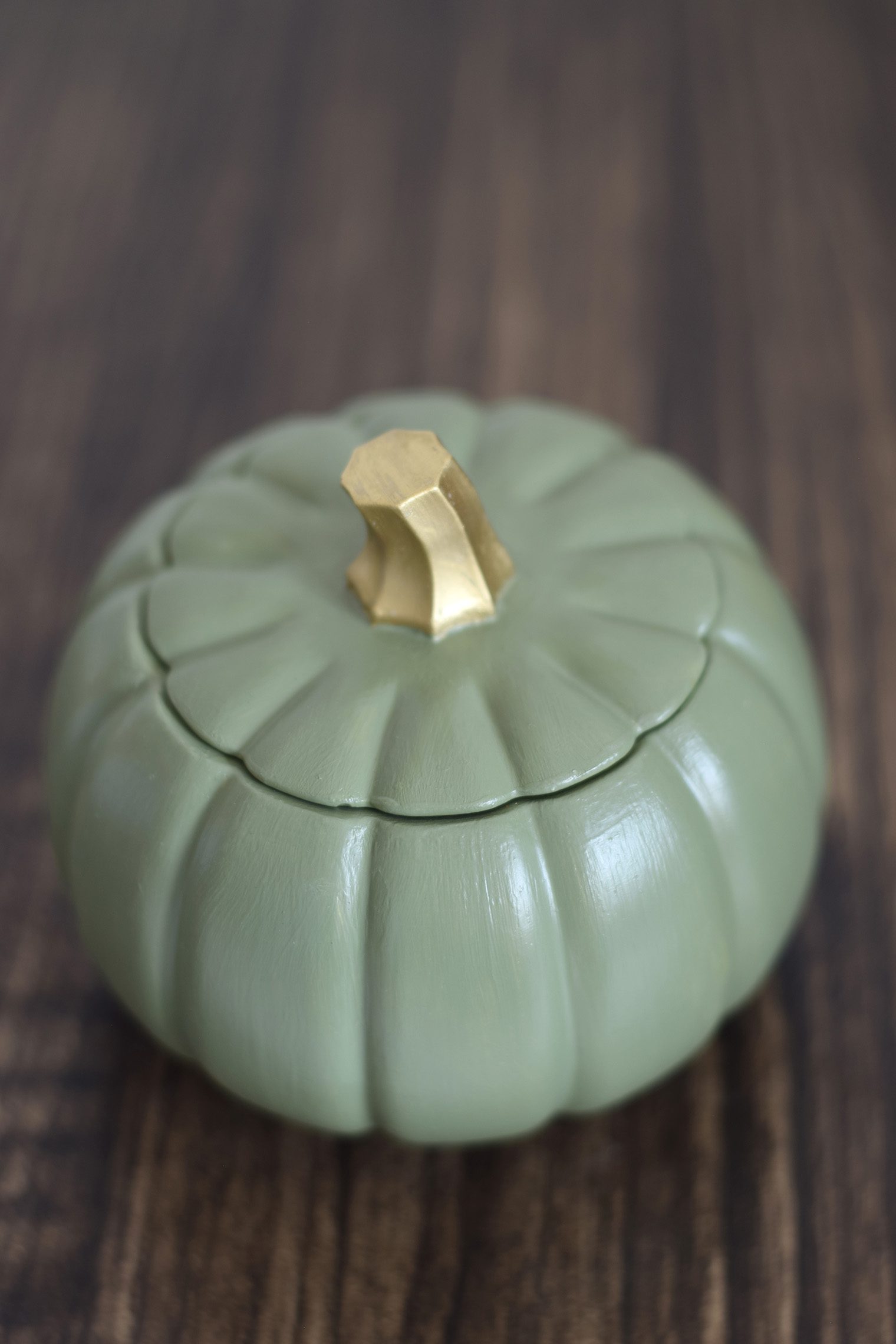 DSC_0357 Calabaza Verde - Black Vanilla